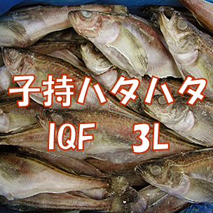 子持ハタハタIQF 3L